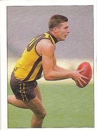 1990 Select AFL Stickers #151 Scott Maginness Front